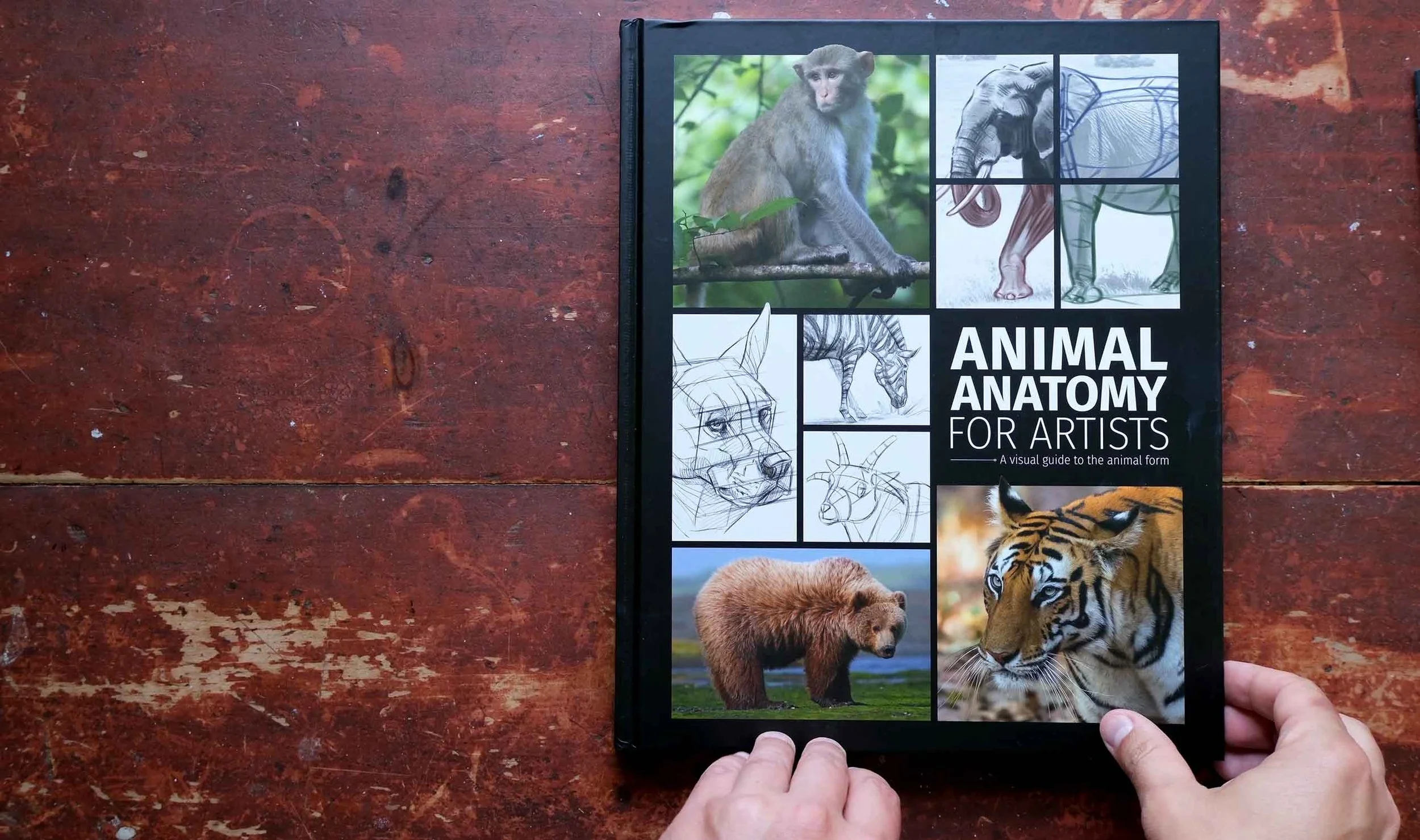 3D Total's new Animal Anatomy for Artists book a must for to-be
